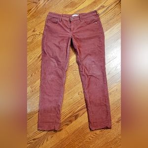 Carve designs burgundy cord pants size 8 EUC
